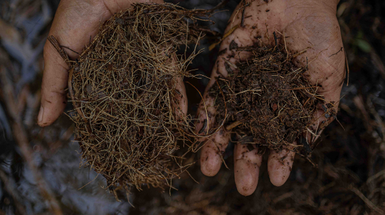 Black Water Joins the Amashort 2026 Catalog